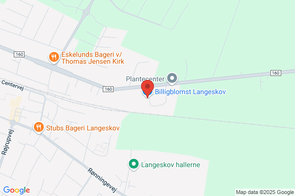 Langeskov Planteskole