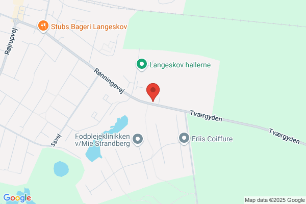Langeskov Skole