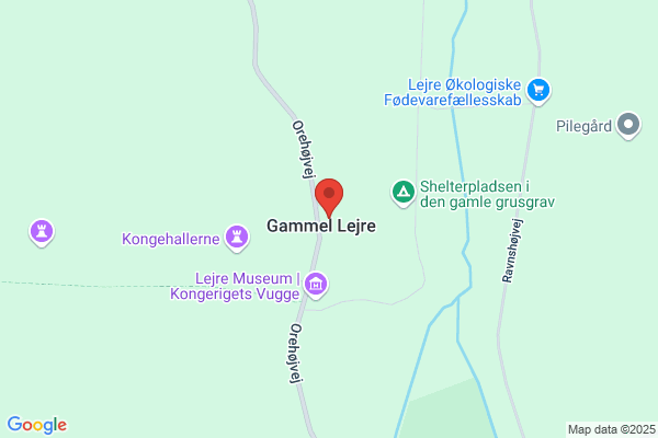 "Gl. Kongsgaard i Lejre", Den selvejende institution