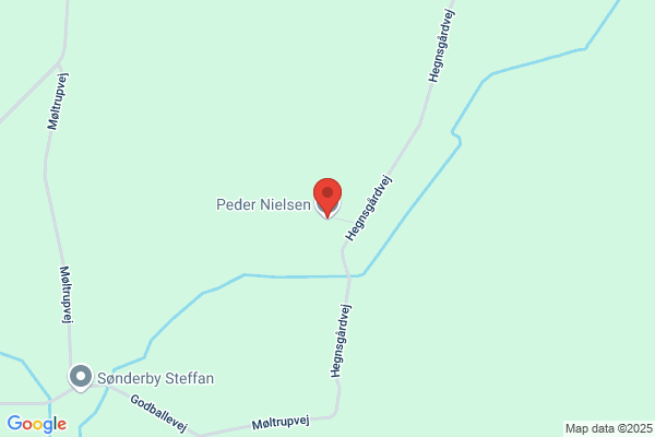 Nielsen, Peder W. F.