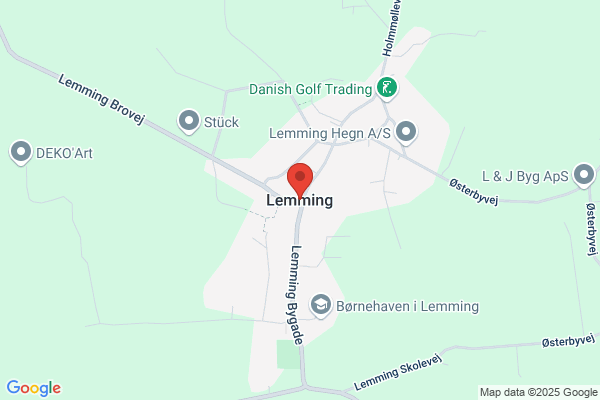 Blå Linie, Den