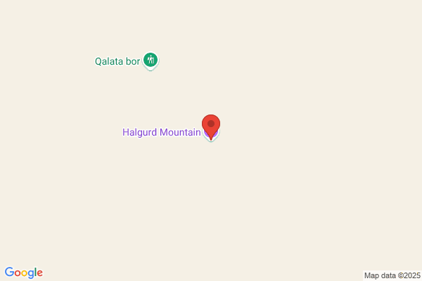 Høgdal, Salon