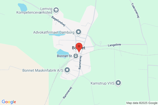 Bøgespiren