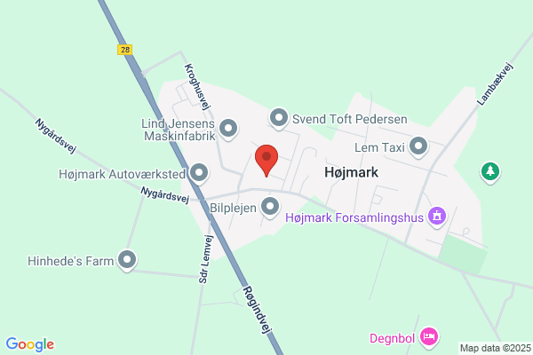 Dansk Folkeparti