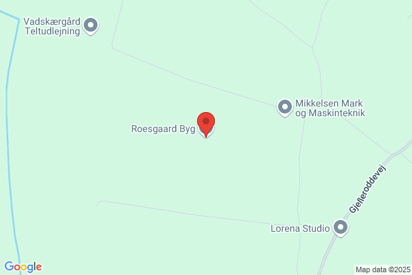 Roesgaard, Hans