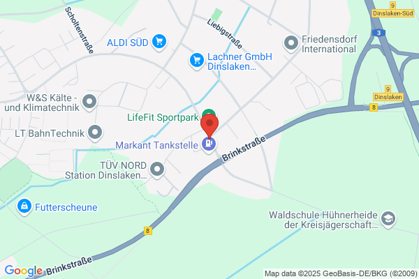 Din AutoReparatør