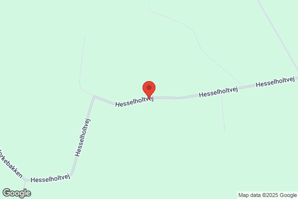 Hansen, Arne