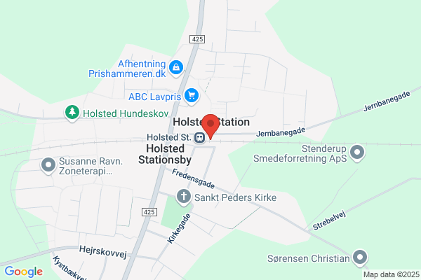 4-H udvalget i Holsted