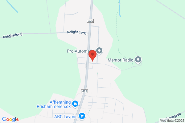 Susanne's Malerfirma