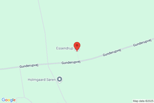 Essendrup Motor