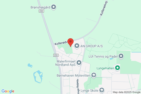 Håndværkerkæden
