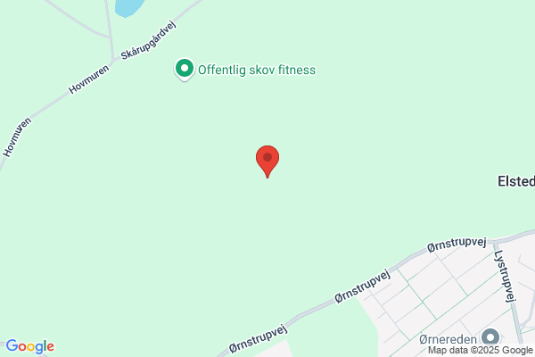 Skov, Lotte