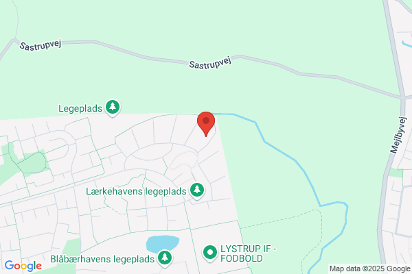 Holm, Marthin