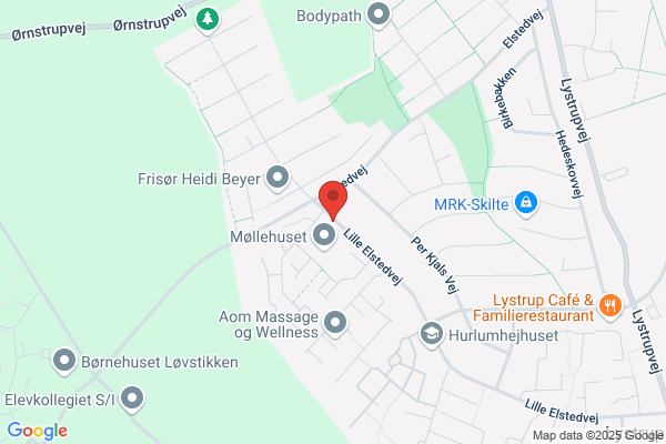 Aarhus Modelsnedkeri A/S