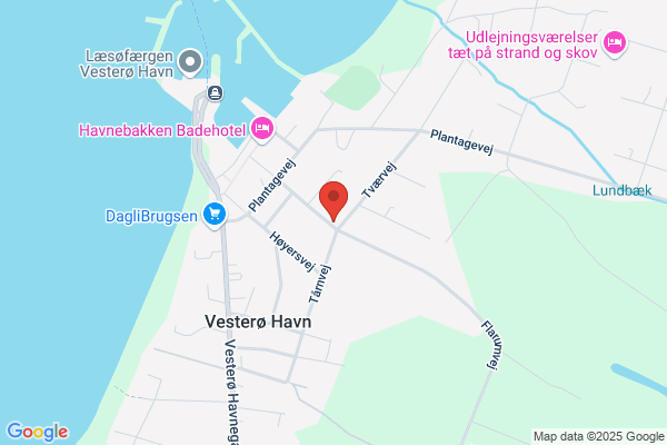 Læsø Jagtforening