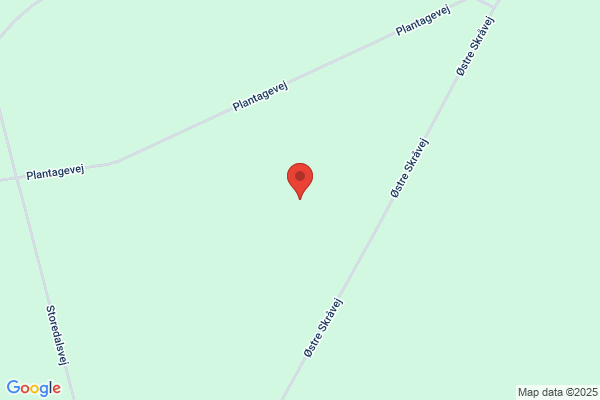 Læsø Klitplantage