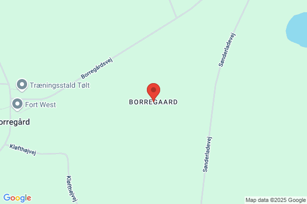 Borregaard Vognmandsforretning