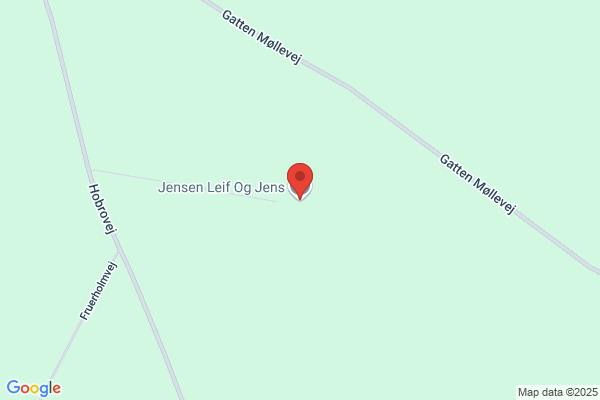 Jensen, Leo