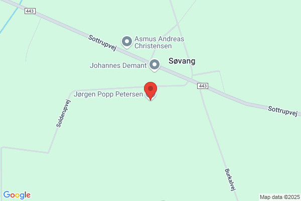 Pedersen, Anneli