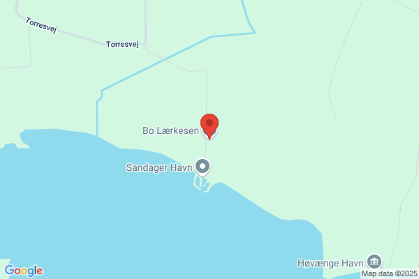 Lærke, Frank