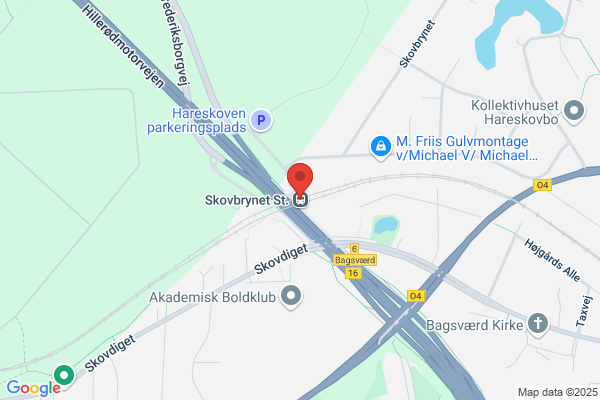 Skovbrynet, Salon