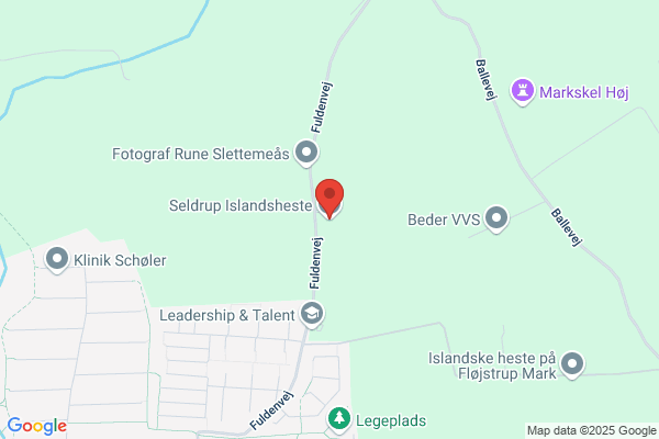 Starupgaard Rideskole