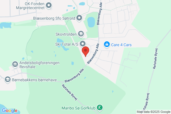 ErhvervsService International ApS
