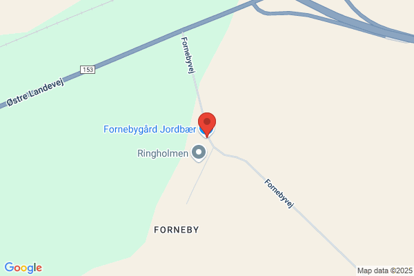 Fornebygård Stutteri