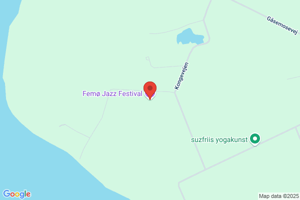 Femø Jazz Festival ApS