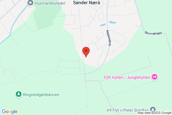 FA Elsønic
