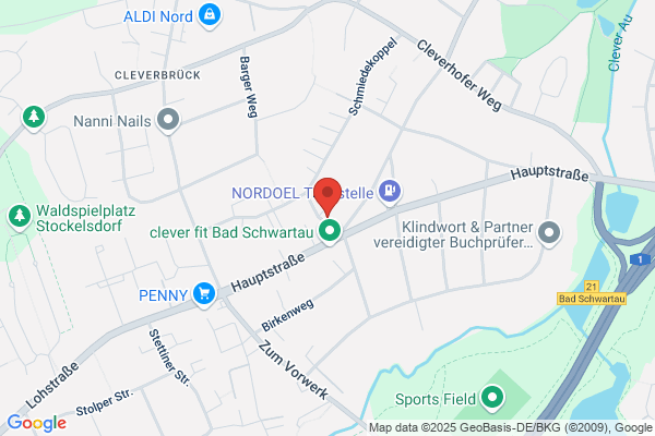 Schøllhammer, Ib