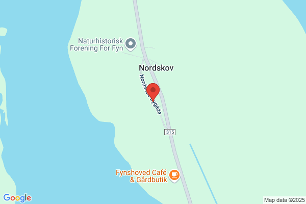 Familieterapeut Lola Erlandsen