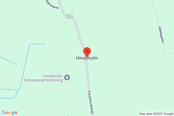 Hindsholm Murerfirma