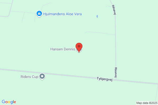 Hansen, Kenni