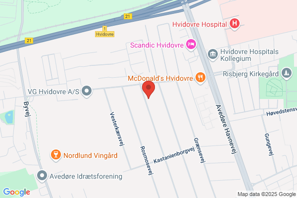Backhaus, Hans