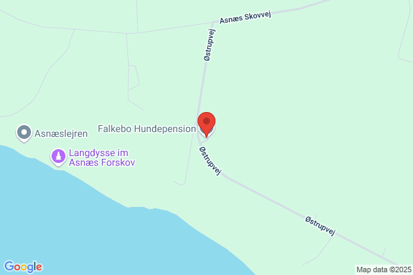 Bastrup Hunde- og Kattepension