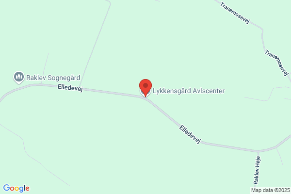 Kalundborg's Anlægsgartner