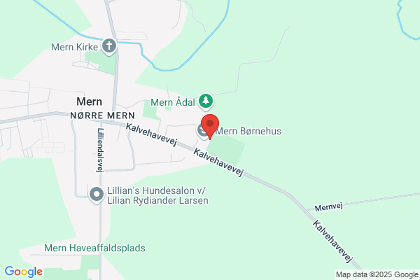 Langebæksskolen Mern Afd.