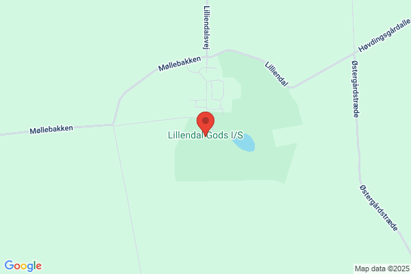 Lilliandal Godskontor