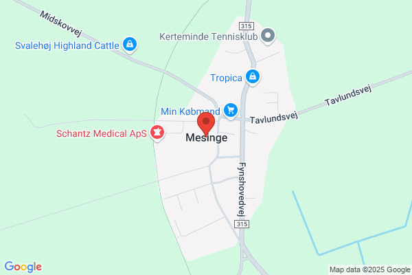 Mesinge Tøm'ren