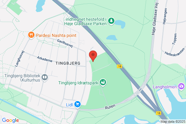 Cricketbanen