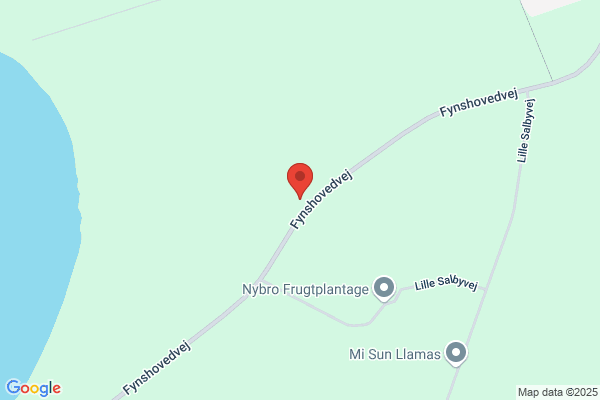Hindsholm Håndboldforening