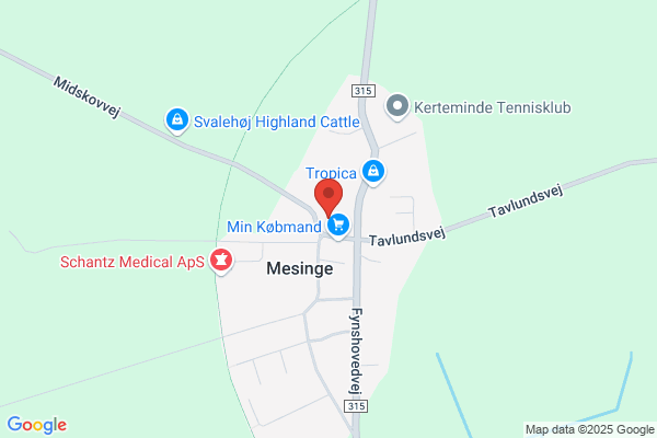Mesinge sogns menighedsråd