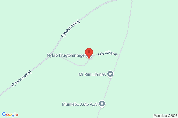 Nybro Frugt
