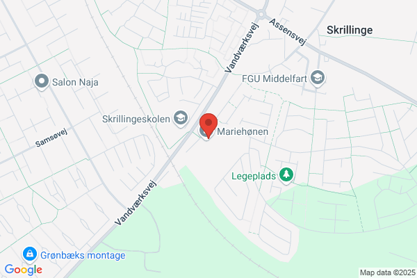 Middelfart Friskole