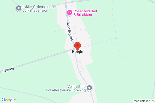 Røjle Tømrerforretning