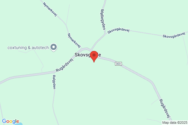 Skov's Biavl