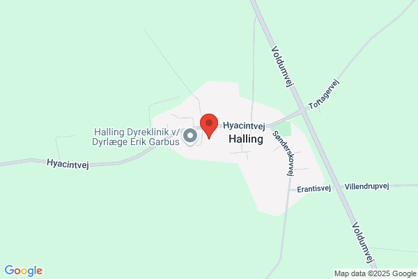 Halling Haller