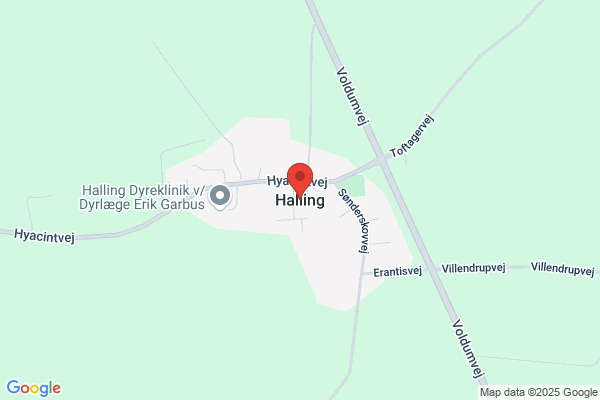 Halling Vandværk