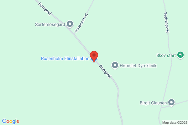 Rosenholm El-Installation